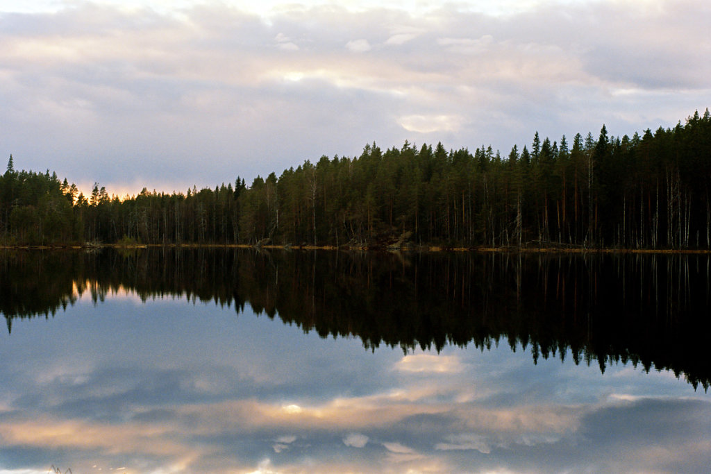 Осторожно! Канадские бобры в Финляндии! Национальные парки Исоярви и Лейвонмяки