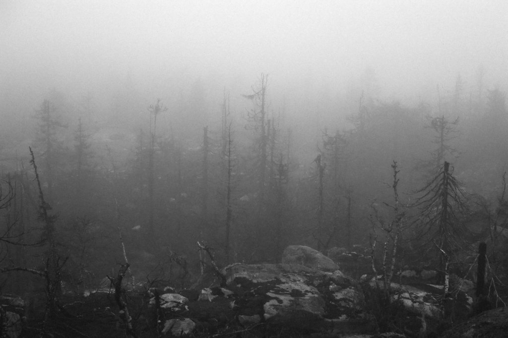 fog-vottovaara-blog-02.jpg