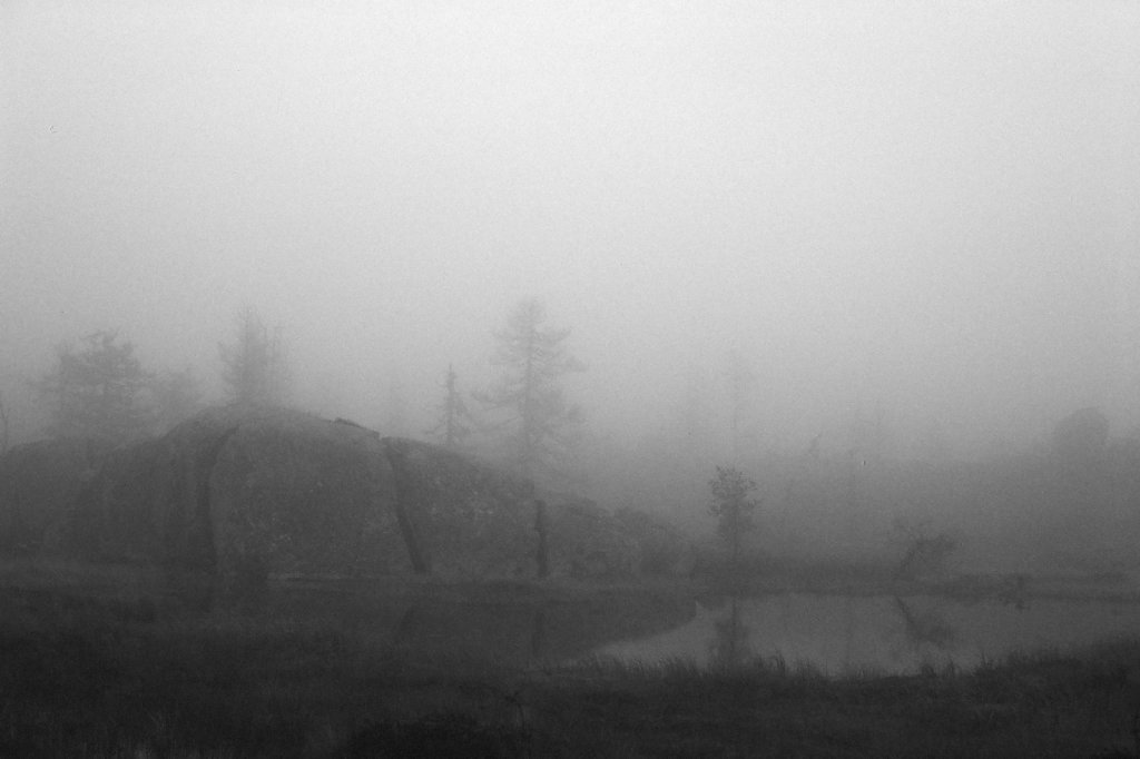 fog-vottovaara-blog-04.jpg