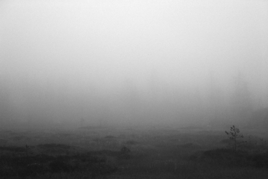 fog-vottovaara-blog-05.jpg