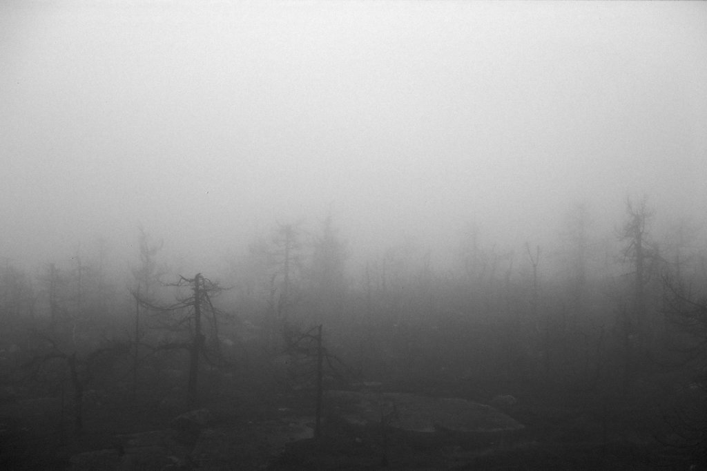 fog-vottovaara-blog-08.jpg