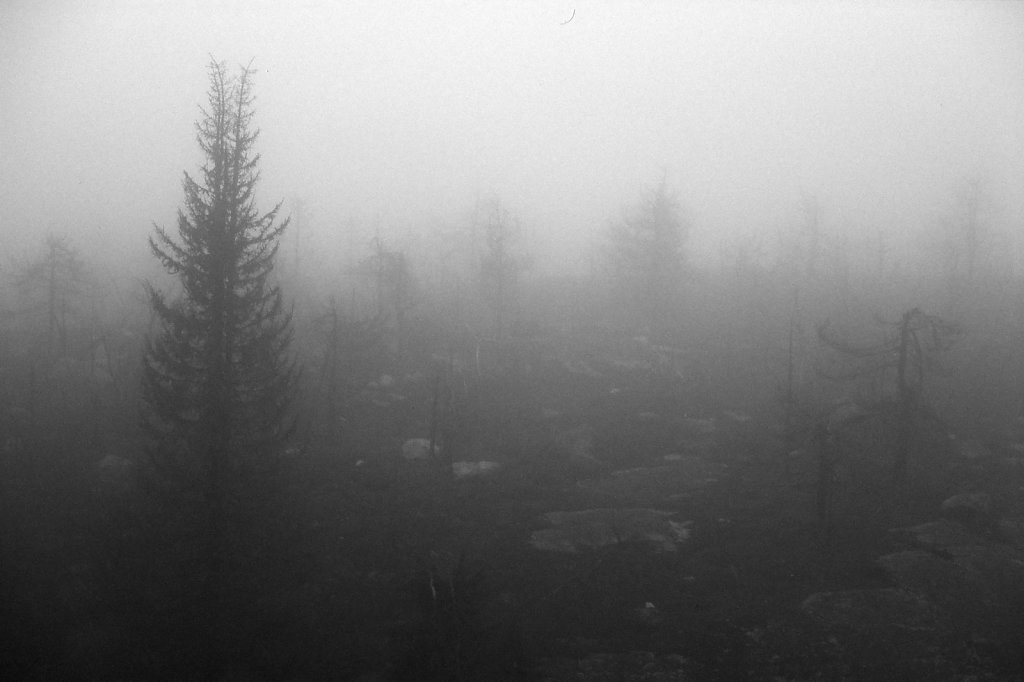 fog-vottovaara-blog-09.jpg