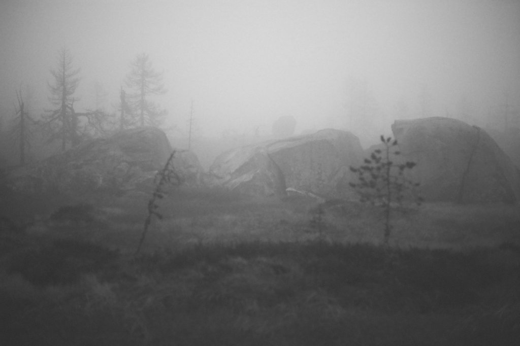 fog-vottovaara-blog-11.jpg