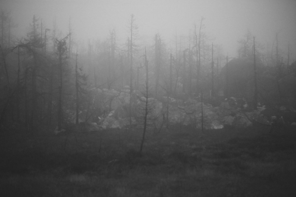 fog-vottovaara-blog-13.jpg