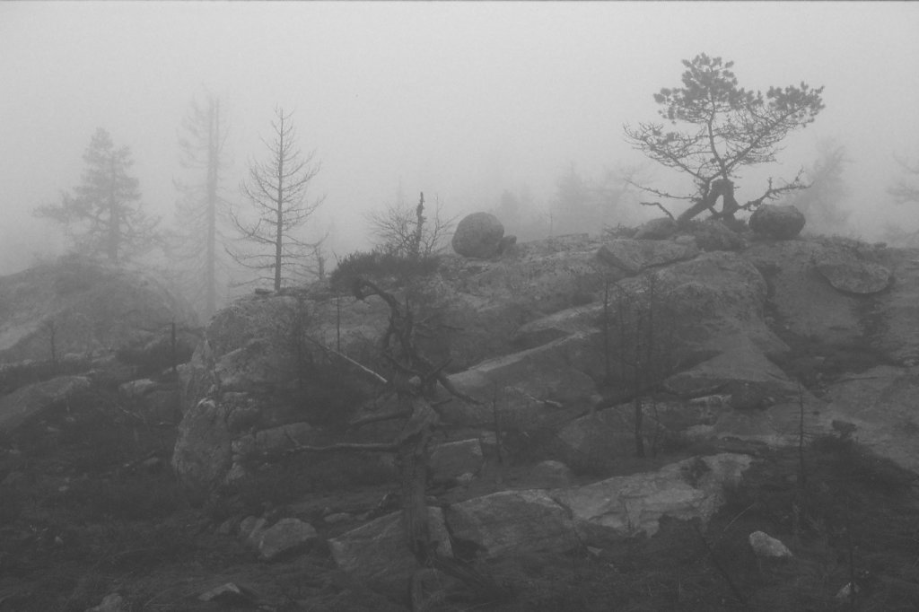 fog-vottovaara-blog-14.jpg